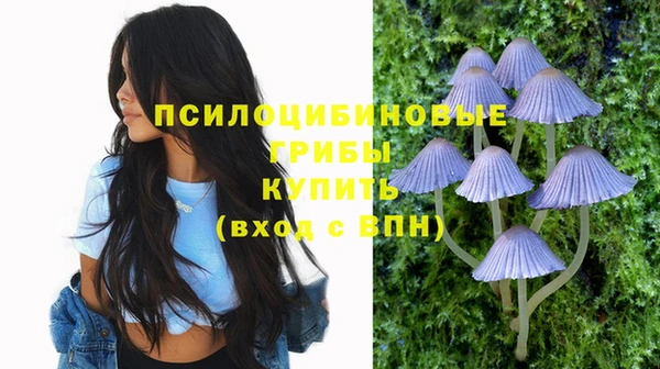mdpv Лихославль