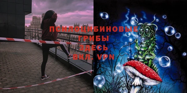 mdpv Лихославль
