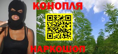 крисы Волгодонск