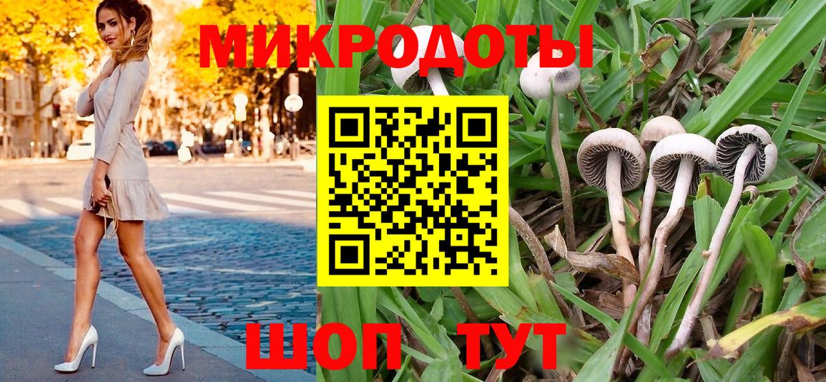 где найти наркотики  Ангарск  Галлюциногенные грибы мицелий 